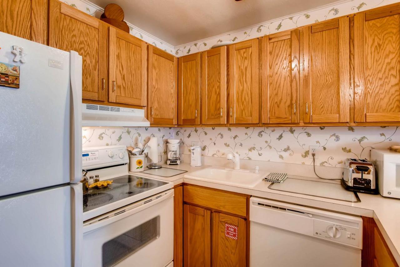 Ski-In Ski-Out Studio Private Balcony & Fireplace Condo Crested Butte Ngoại thất bức ảnh