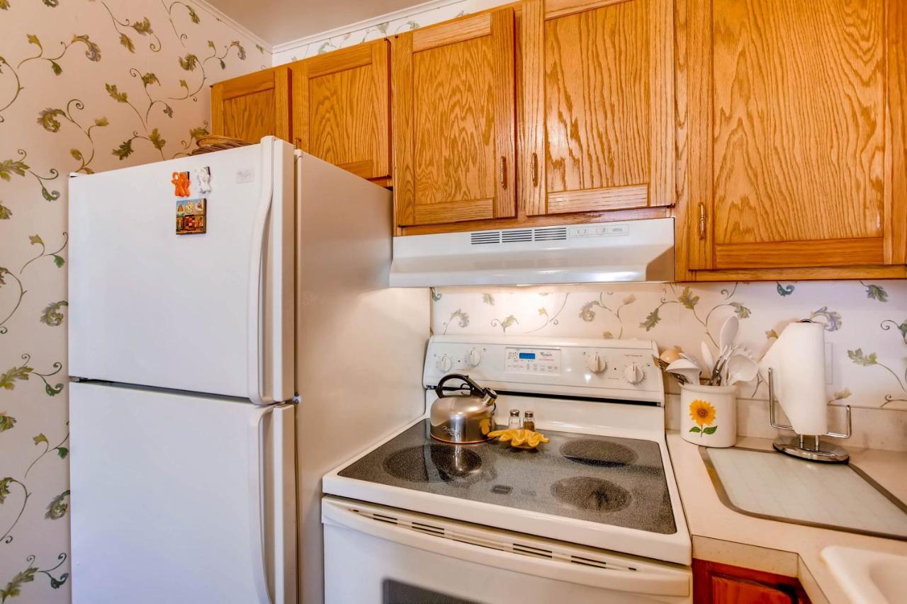 Ski-In Ski-Out Studio Private Balcony & Fireplace Condo Crested Butte Ngoại thất bức ảnh